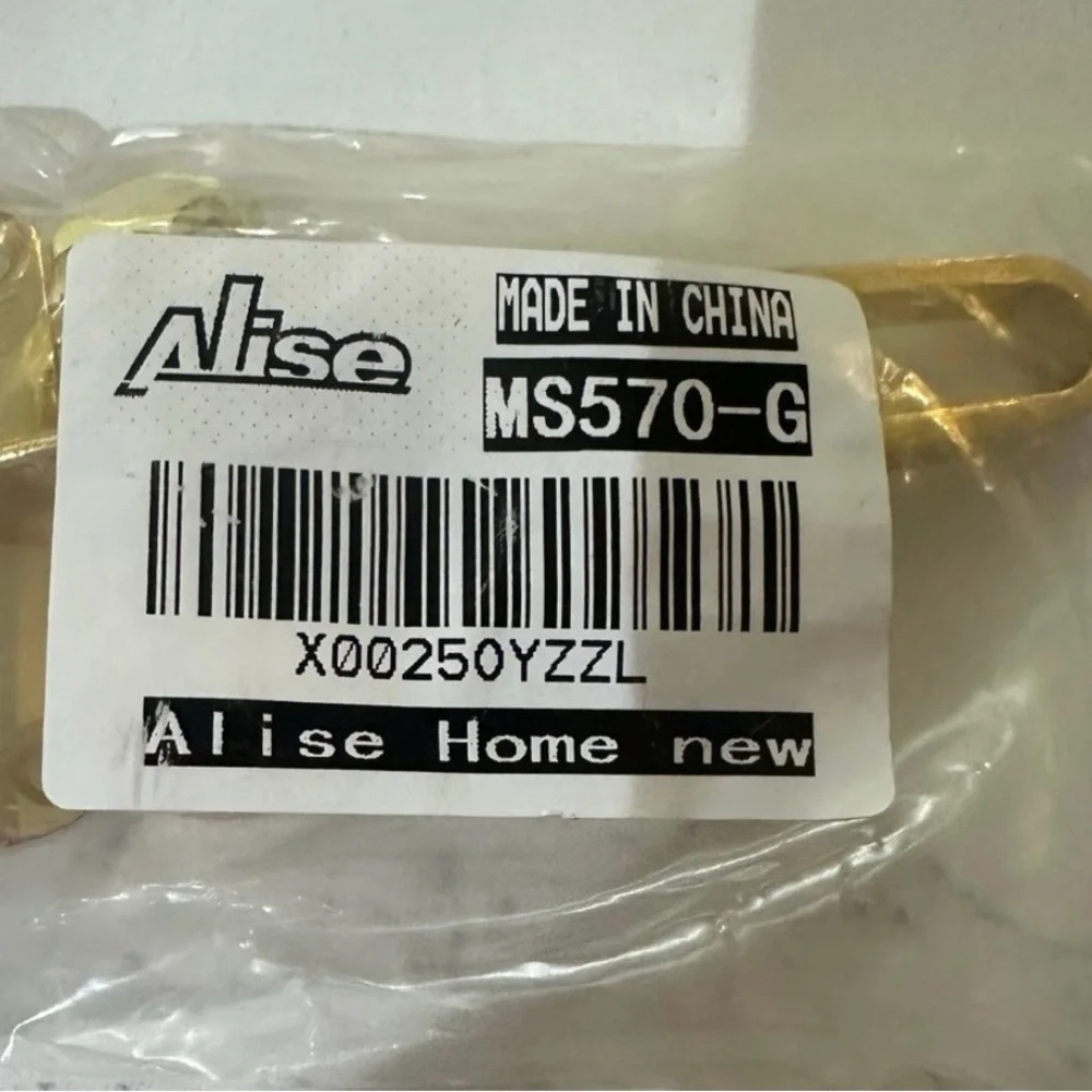 Source Unknown Gold Door Security Latch